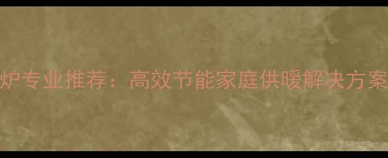 泰州菲斯曼壁挂炉专业推荐高效节能家庭供暖解决方案与权威安装指南