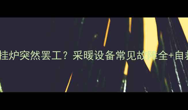 图片 洗澡时壁挂炉突然罢工？采暖设备常见故障全+自救指南💡2