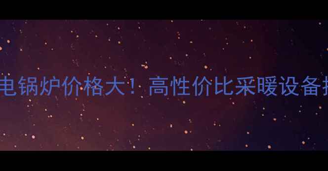 图片 派帝家用电锅炉价格大！高性价比采暖设备推荐指南2