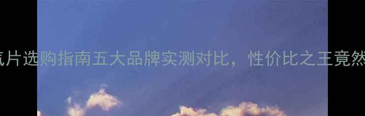 图片 济南暖气片选购指南五大品牌实测对比，性价比之王竟然是它！2