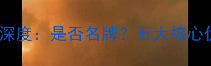 海顿壁挂炉品牌深度是否名牌五大核心优势与选购指南