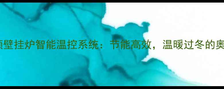 图片 海顿壁挂炉智能温控系统：节能高效，温暖过冬的奥秘1