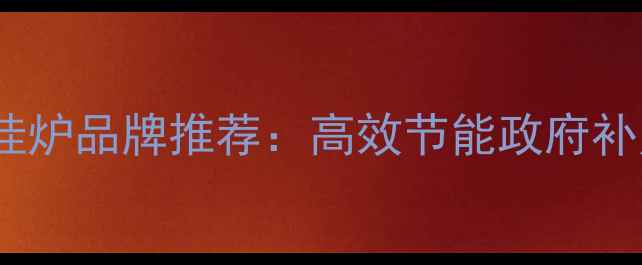 图片 涿州煤改气壁挂炉品牌推荐：高效节能政府补贴安装服务全1