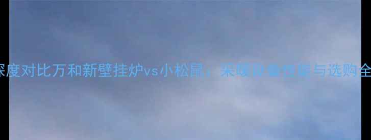 图片 深度对比万和新壁挂炉vs小松鼠：采暖设备性能与选购全2