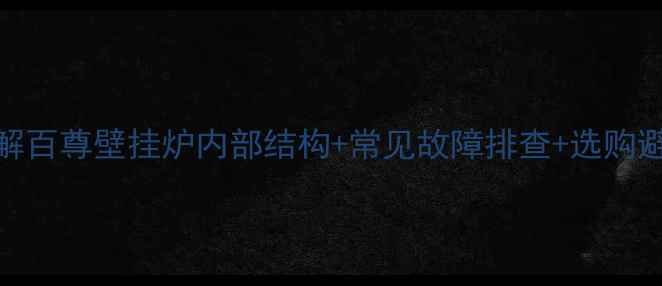 图片 深度拆解百尊壁挂炉内部结构+常见故障排查+选购避坑指南