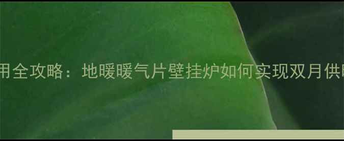 烟台采暖设备使用全攻略地暖暖气片壁挂炉如何实现双月供暖附选购指南