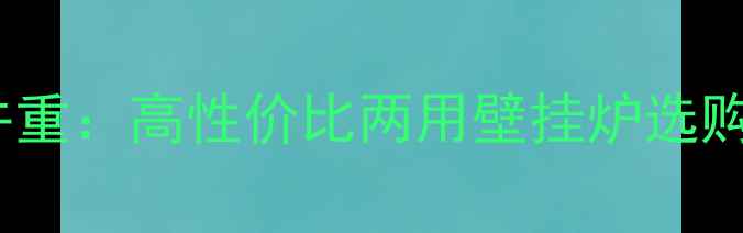 热效率与环保并重高性价比两用壁挂炉选购指南及使用全