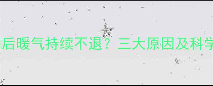 图片 热水器关闭后暖气持续不退？三大原因及科学解决方法1