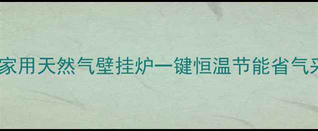 图片 热销款：威能家用天然气壁挂炉一键恒温节能省气采暖设备推荐1
