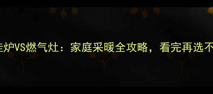 图片 燃气壁挂炉VS燃气灶：家庭采暖全攻略，看完再选不踩坑！2