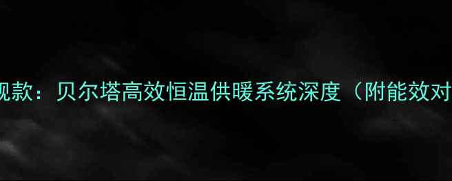 图片 燃气壁挂炉e8旗舰款：贝尔塔高效恒温供暖系统深度（附能效对比与安装指南）1