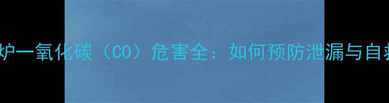 图片 燃气壁挂炉一氧化碳（CO）危害全：如何预防泄漏与自救指南？1