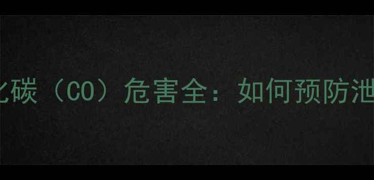图片 燃气壁挂炉一氧化碳（CO）危害全：如何预防泄漏与自救指南？2