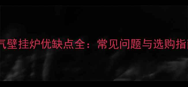 图片 燃气壁挂炉优缺点全：常见问题与选购指南1