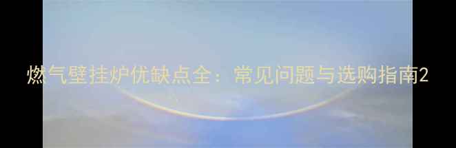 图片 燃气壁挂炉优缺点全：常见问题与选购指南2