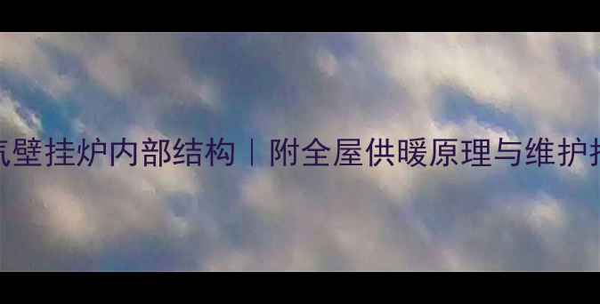 图片 燃气壁挂炉内部结构｜附全屋供暖原理与维护指南