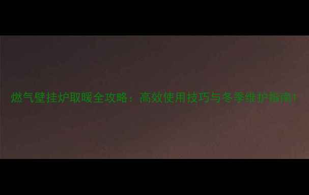 图片 燃气壁挂炉取暖全攻略：高效使用技巧与冬季维护指南1