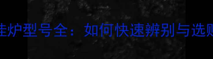 图片 燃气壁挂炉型号全：如何快速辨别与选购指南？