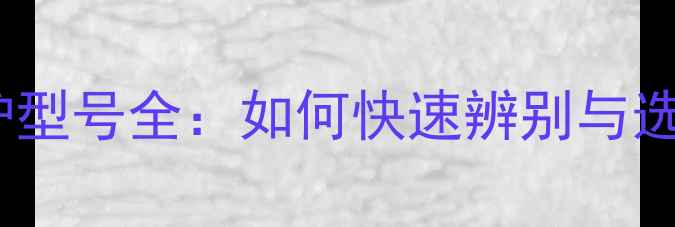 图片 燃气壁挂炉型号全：如何快速辨别与选购指南？1