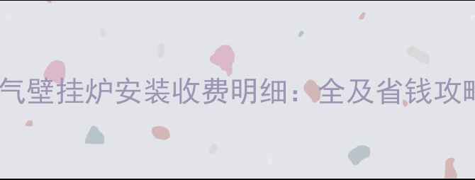 图片 燃气壁挂炉安装收费明细：全及省钱攻略2