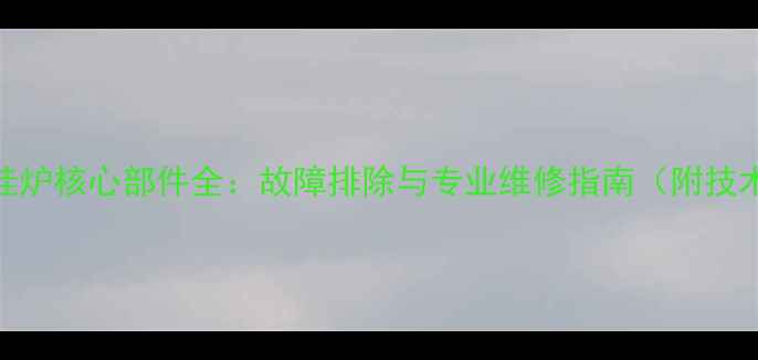 燃气壁挂炉核心部件全故障排除与专业维修指南附技术手册