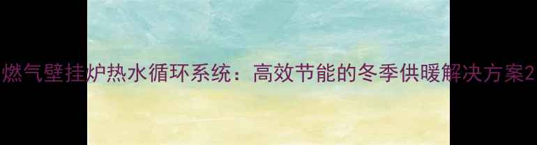 燃气壁挂炉热水循环系统高效节能的冬季供暖解决方案