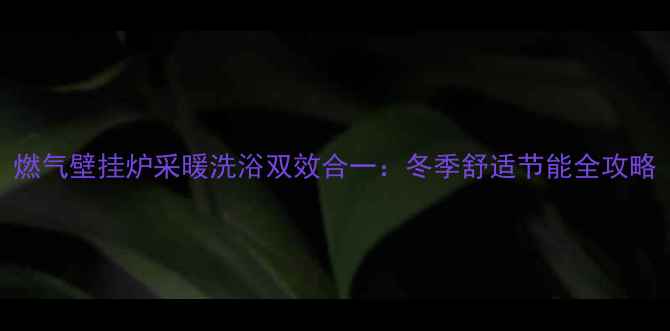 图片 燃气壁挂炉采暖洗浴双效合一：冬季舒适节能全攻略
