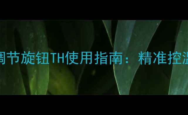 图片 燃气暖气片温度调节旋钮TH使用指南：精准控温与安全使用的全