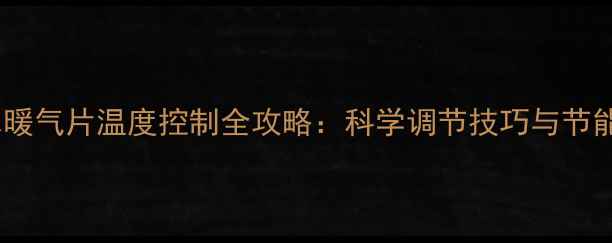 图片 燃气水暖气片温度控制全攻略：科学调节技巧与节能指南2