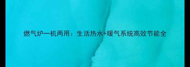 燃气炉一机两用生活热水暖气系统高效节能全