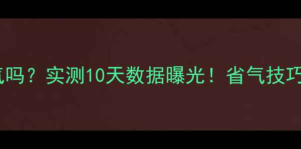 图片 燃气炉取暖费气吗？实测10天数据曝光！省气技巧+设备选购指南