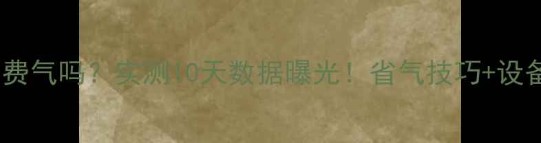 图片 燃气炉取暖费气吗？实测10天数据曝光！省气技巧+设备选购指南1