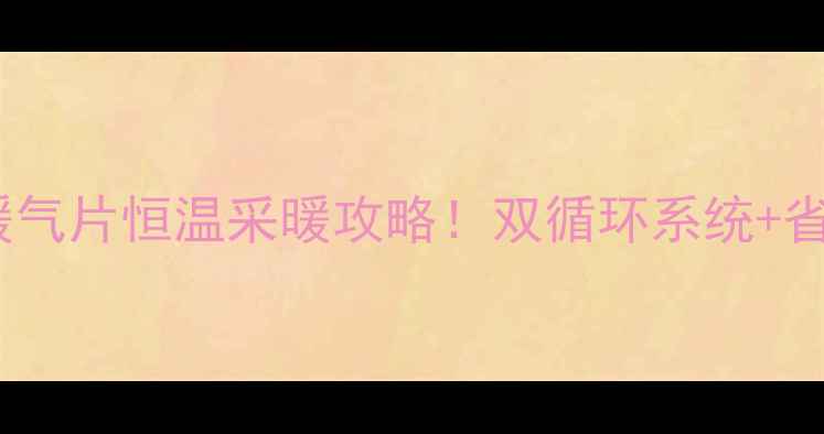 燃气热水器带双暖气片恒温采暖攻略双循环系统省气技巧全公开