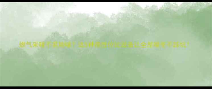 图片 燃气采暖不装地暖？这5种高性价比设备让全屋暖冬不踩坑！