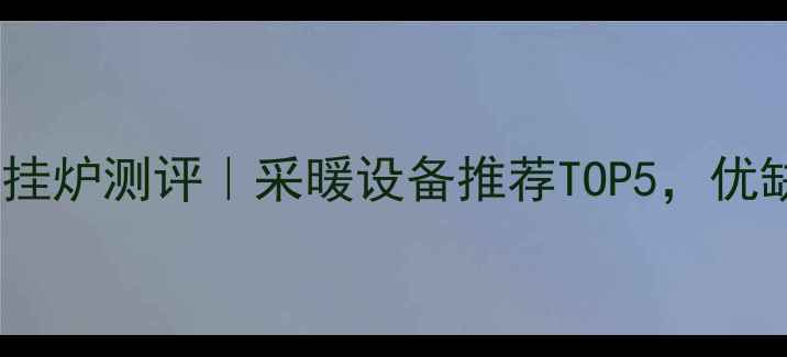爱克多壁挂炉测评采暖设备推荐TOP5优缺点全