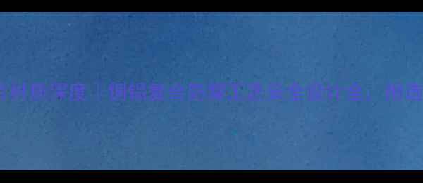 图片 瑞特格暖气片材质深度｜铜铝复合防腐工艺安全设计全，附选购避坑指南1