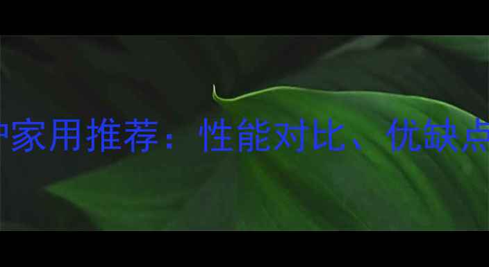 图片 瑞诗顿壁挂炉家用推荐：性能对比、优缺点及安装指南2