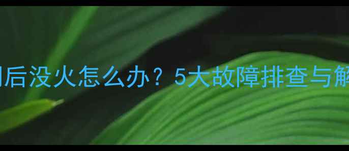 生物质采暖炉填煤口关闭后没火怎么办5大故障排查与解决技巧附视频教程