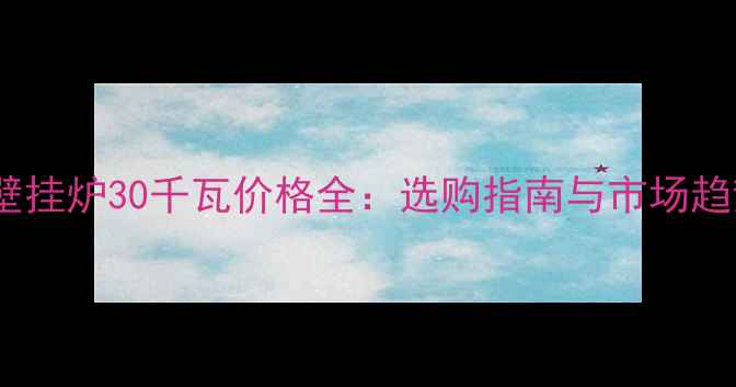 图片 电壁挂炉30千瓦价格全：选购指南与市场趋势1