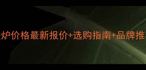 图片 电壁挂炉家用采暖炉价格最新报价+选购指南+品牌推荐（附安装费用）