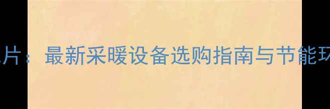 图片 电暖器vs暖气片：最新采暖设备选购指南与节能环保对比分析1