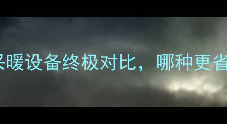 电暖气vs暖气片采暖设备终极对比哪种更省电更耐用