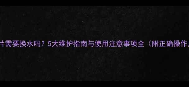 电暖气片需要换水吗5大维护指南与使用注意事项全附正确操作步骤