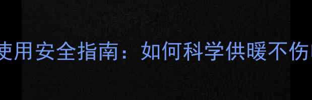 图片 电暖气长时间使用安全指南：如何科学供暖不伤电费不伤设备1
