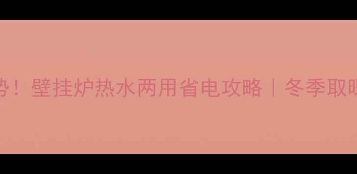 图片 电采暖新趋势！壁挂炉热水两用省电攻略｜冬季取暖不交智商税