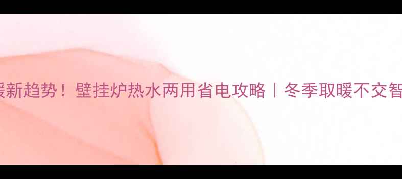 电采暖新趋势壁挂炉热水两用省电攻略冬季取暖不交智商税