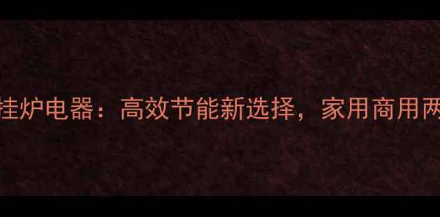 电采暖炉壁挂炉电器高效节能新选择家用商用两用采暖方案