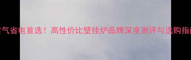 图片 省气省电首选！高性价比壁挂炉品牌深度测评与选购指南