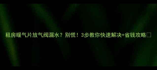 图片 租房暖气片放气阀漏水？别慌！3步教你快速解决+省钱攻略🔥