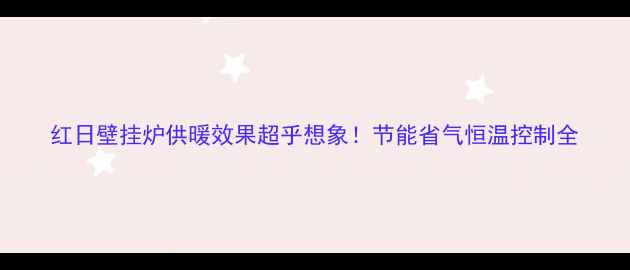 图片 红日壁挂炉供暖效果超乎想象！节能省气恒温控制全